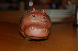 2008-02-hippo.jpg