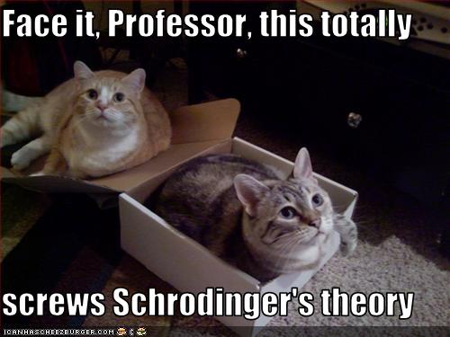 Schrodingers_cats.jpg