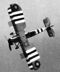 swordfish_invasion_stripes.jpg