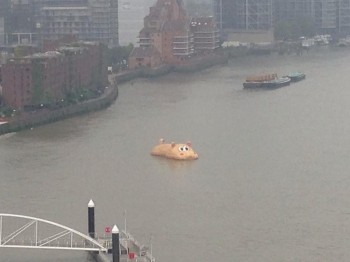 thames_hippo