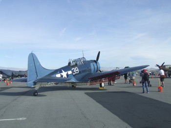 The Dauntless is even rarer I believe. These are the type that took out the Japanese carriers after the torpedo bomber force was wiped out at Midway.