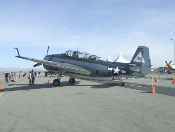 There are a few Avengers around, but not a lot. This is was George Bush the Elder went to war in. Flying Torpedo bombers in the Pacific was not a longevity enhancing career option.