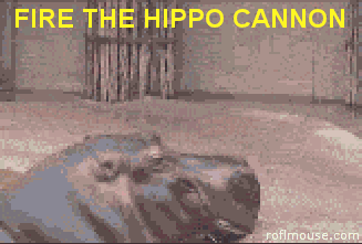 hippocannon