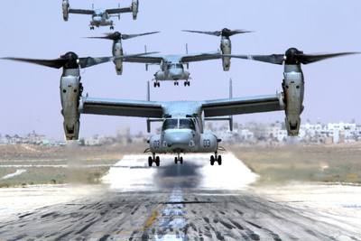Ospreys landing in Jordan