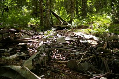 Fairey Swordfish Mk IV wreck